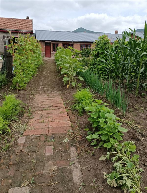 出售、出租平房